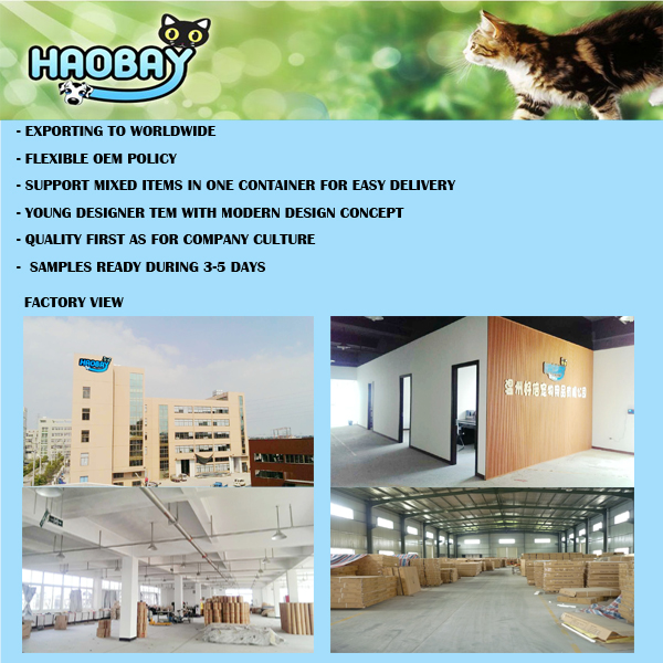 poster OF HAOBAY.jpg